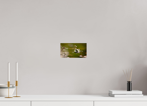 "Pond Hopper"