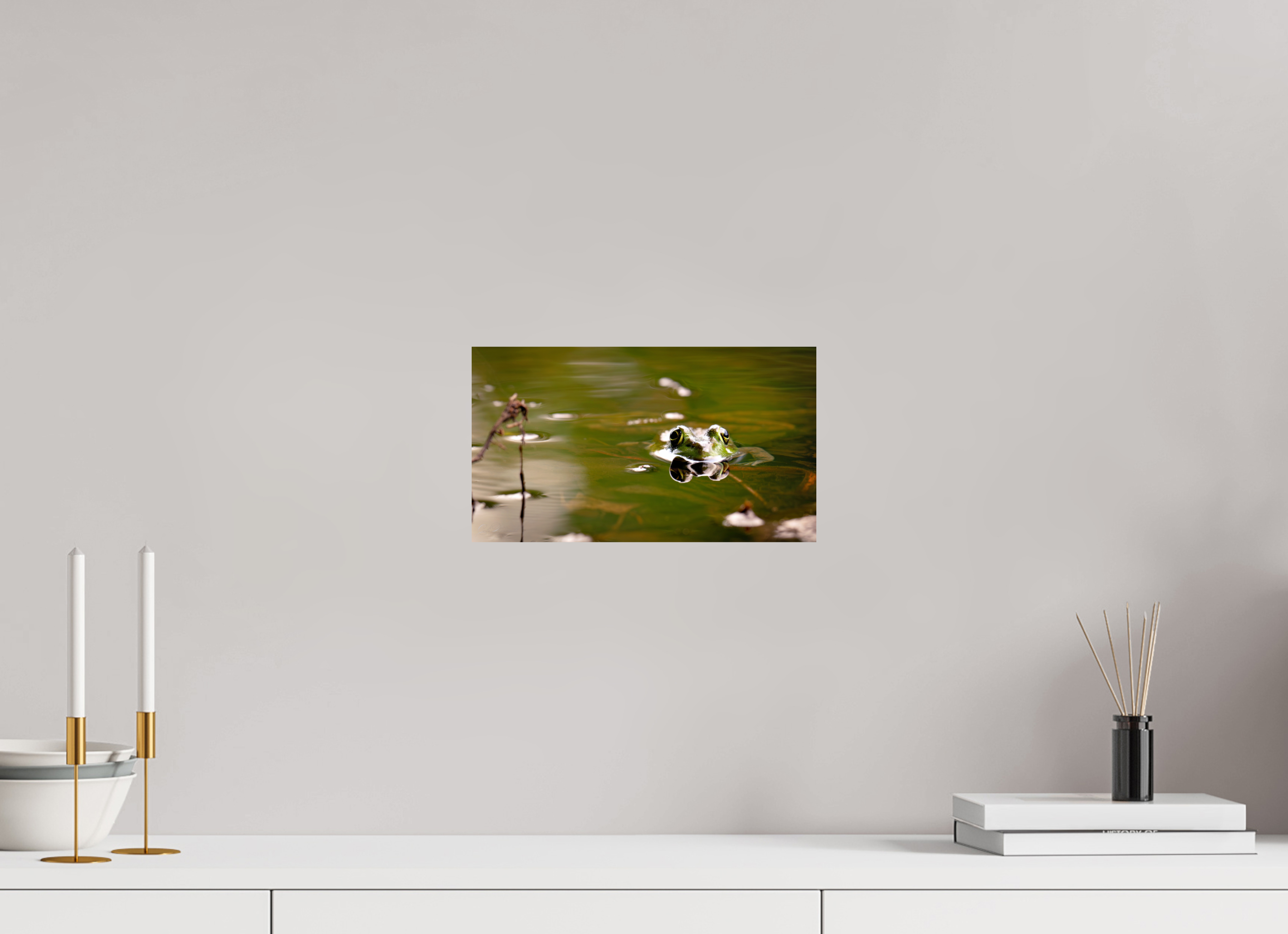 "Pond Hopper"