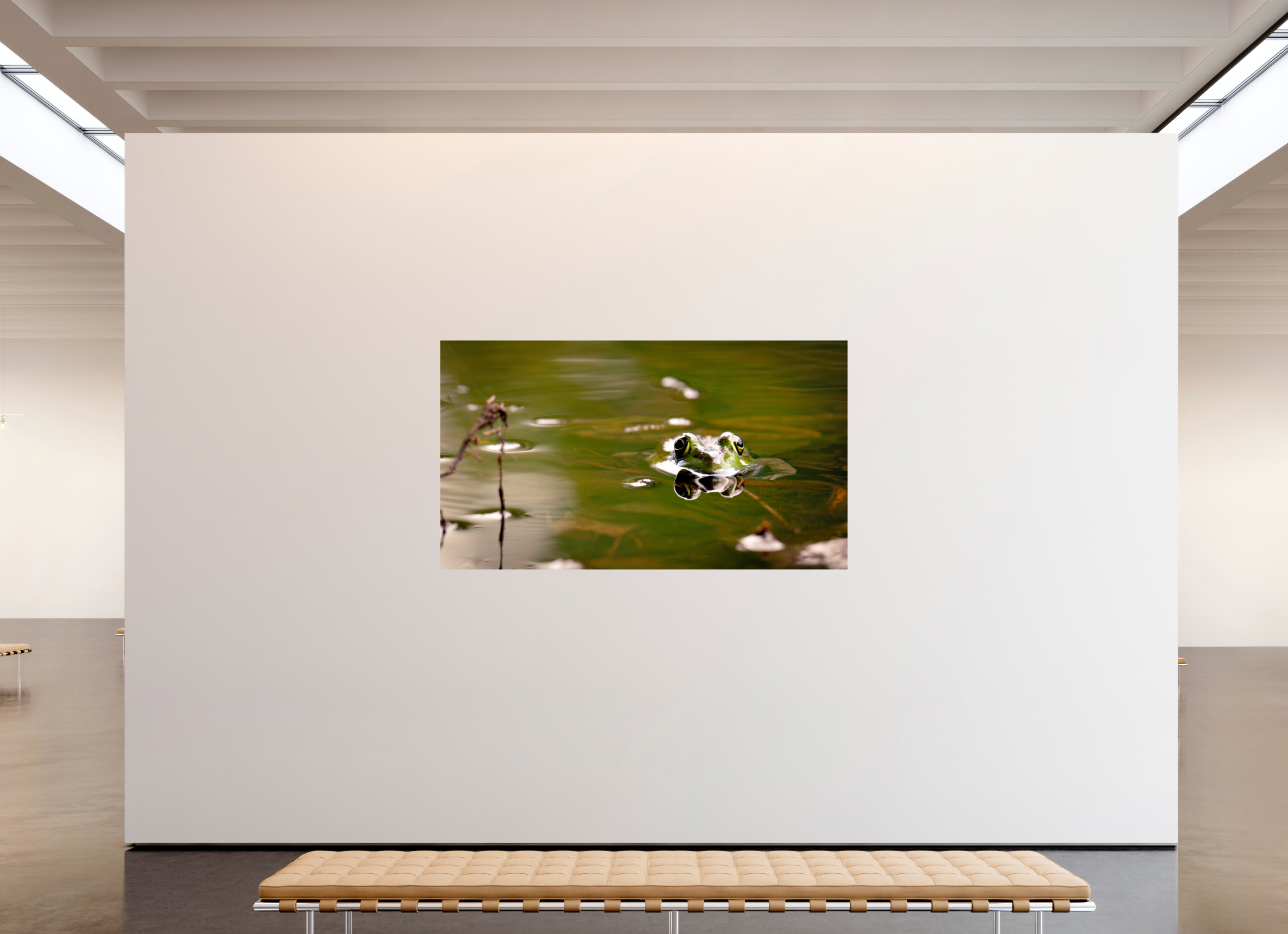 "Pond Hopper"