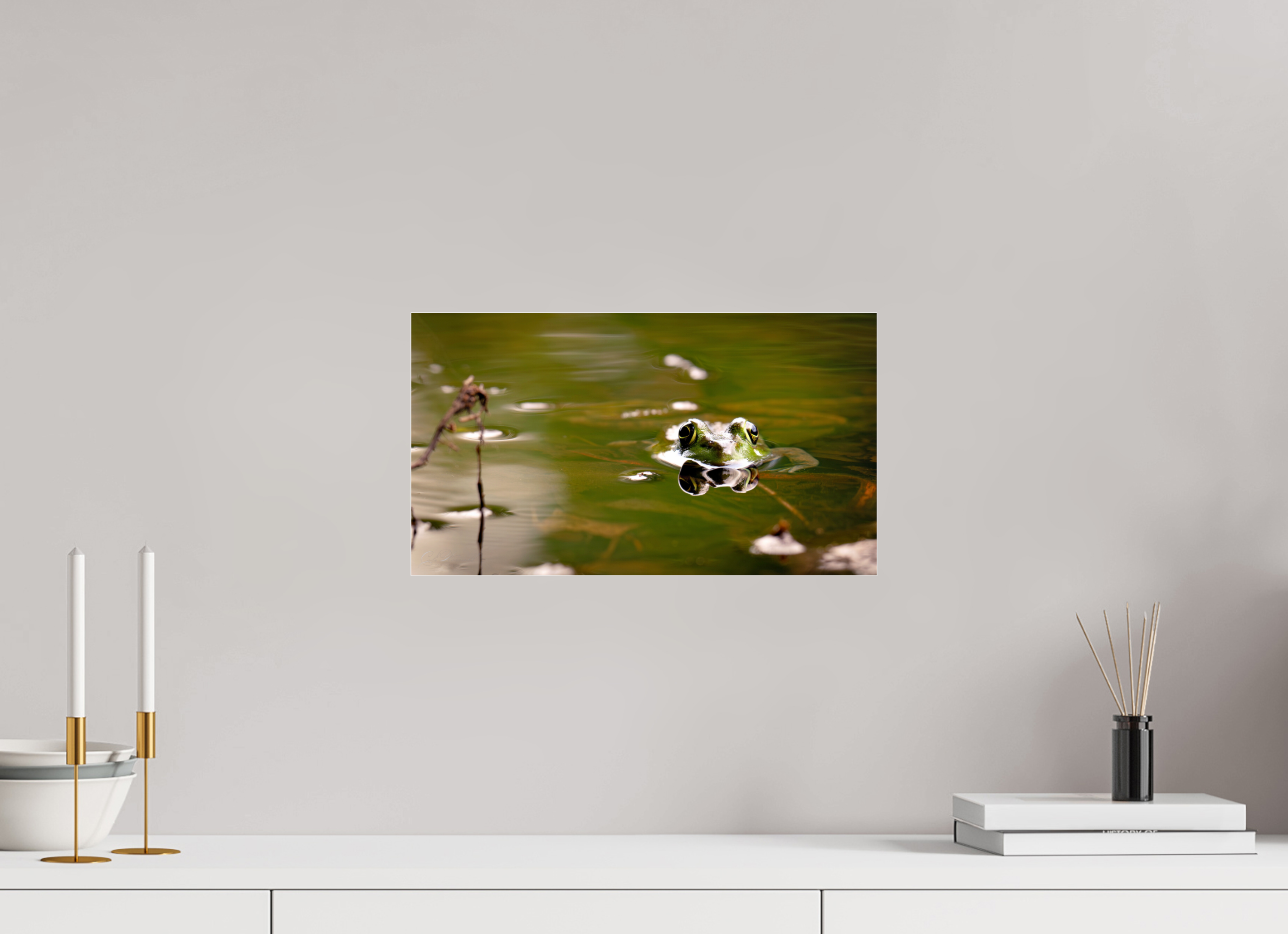 "Pond Hopper"